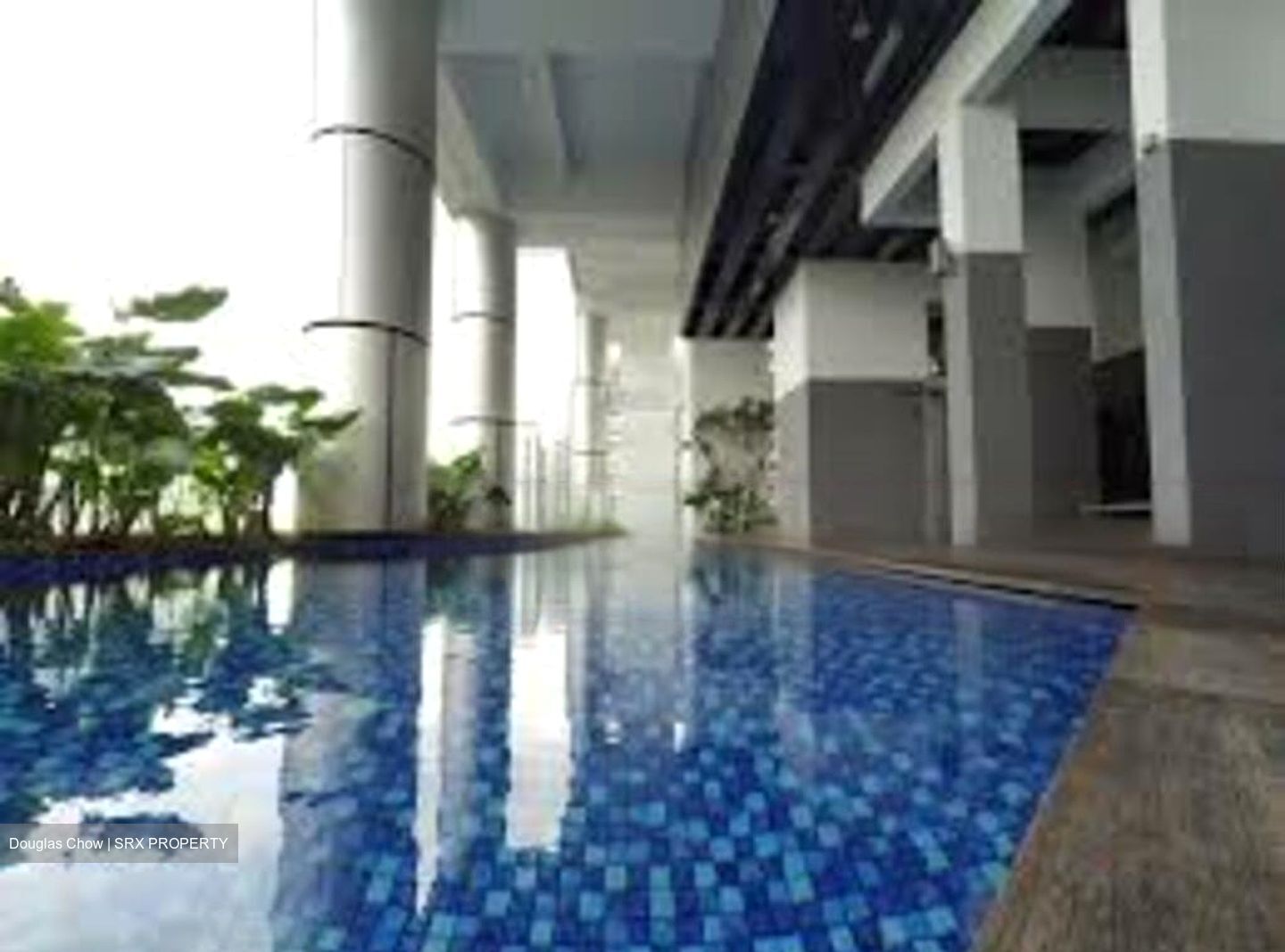 26 Newton (D11), Apartment #461349061